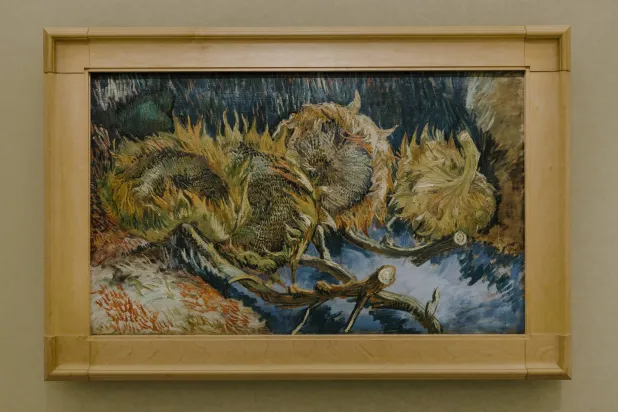 لوحة «أربع زهرات عباد شمس بذورها ناضجة» (Four Sunflowers Gone to Seed) في المعرض الجديد «فان جوخ: كل لوحاتنا» بمتحف كرولر مولر في أوتيرلو بهولندا (إيلفي نيوكيكتيين - نيويورك تايمز)