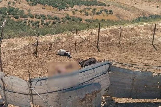 Israeli soldiers during a reconnaissance operation in the occupied Syrian Golan Heights (File photo - Reuters) 
