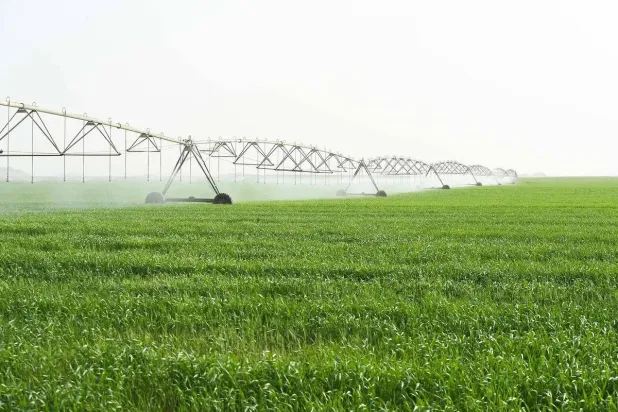 Agricultural land in Saudi Arabia (SPA) 