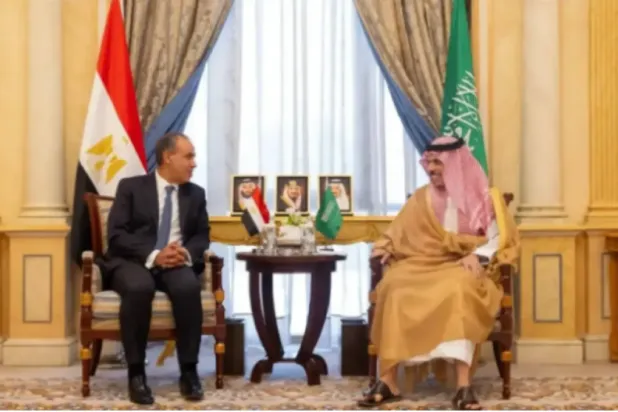 لقاء سابق بين وزير الخارجية السعودي ونظيره المصري في الرياض (واس)