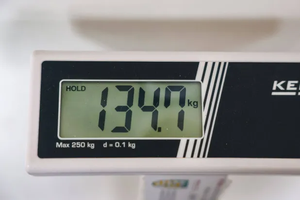 FILED - 06 June 2025, Saxony, Leipzig: File Photo - The weight (134.7 kilograms) of a morbidly obese woman is measured as part of the Obesity Therapy Program at Leipzig University Hospital. Photo: Jan Woitas/dpa