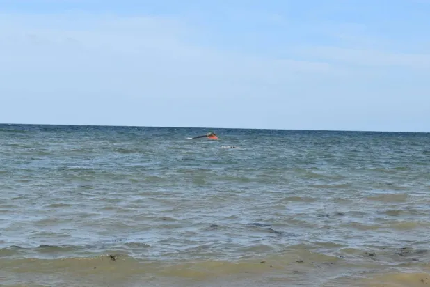 A portion of the vessel floats after it capsized while carrying about 305 people from Djibouti to Yemen. (Kennedy Omondi Okoth/International Organization for Migration/Handout via Reuters)