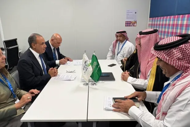 محادثات وزير الخارجية المصري مع الرئيس التنفيذي للصندوق السعودي للتنمية (صفحة وزارة الخارجية على فيسبوك)