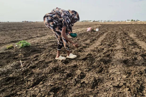 A Sudanese farmer plants seeds in an agricultural field in Gedaref State, eastern Sudan, on July 18, 2026. (Photo by AFP)