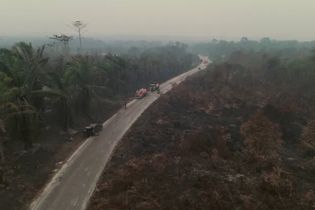  A drone view of a palm oil plantation area shrouded in haze from wildfires in South Arut, West Kotawaringin Regency, Central Kalimantan province, Indonesia, October 18, 2026. (Reuters)