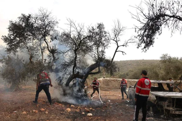 Palestinian volunteers douse an olive tree set on fire by Israeli settlers, near the village of Turmus Ayya, north of Ramallah, in the Israeli-occupied West Bank on October 16, 2026.  Ahmad Gharabli, AFP
