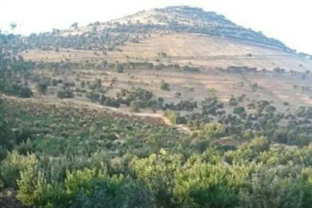 Suriye’nin Süveyda ilinin kırsal kesiminde bulunan Tel Kalib (Arşiv – SANA)