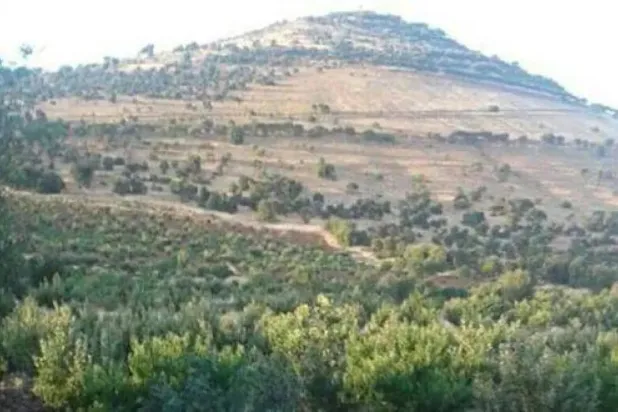 Tal Qulaib in Syria's Sweida province (File photo: SANA)