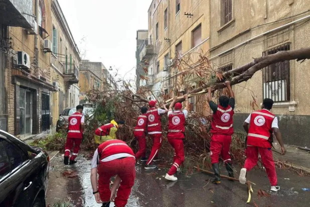 أشجار متساقطة جراء الأمطار بالعاصمة الليبية طرابلس في وقت سابق الشهر الحالي (الهلال الأحمر الليبي)