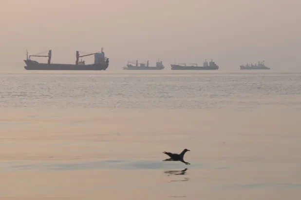  A bird flies low over the water as cargo ships lie at anchor in the Strait of Hormuz off Bandar Abbas, Iran, early Saturday, Oct. 24, 2026. (ISNA via AP) 