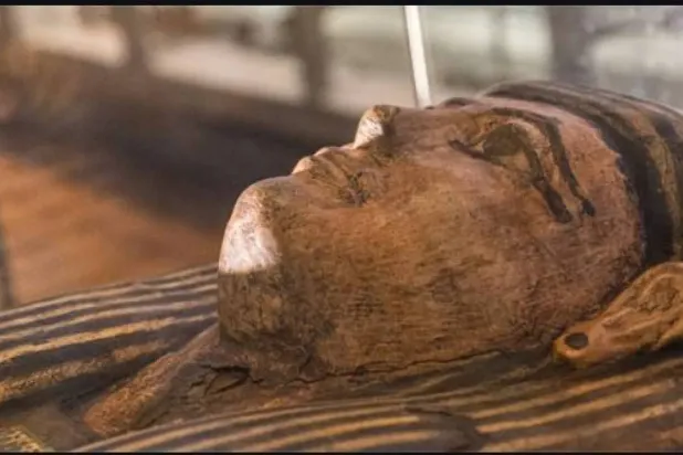 The sarcophagus of Lady Shep-En-Hor (Instagram)

 