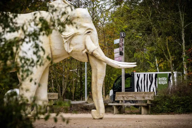 This photograph shows the exterior of the Safaripark Beekse Bergen in Hilvarenbeek, on October 27, 2026. (Photo by ROB ENGELAAR / ANP / AFP)