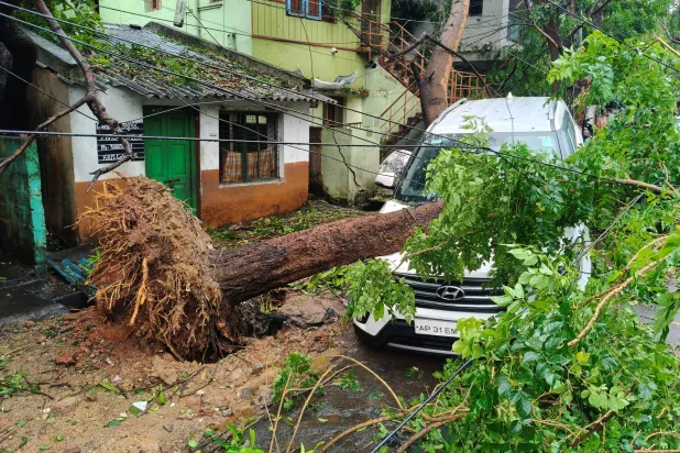  A vehicle damaged by a fallen tree following Cyclone Arnab, in Visakhapatnam, Andhra Pradesh, India, October 28, 2026. (Reuters)