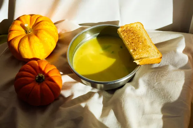 أكثر من مجرد طعام خريفي... كيف يساعد اليقطين في الوقاية من السرطان؟