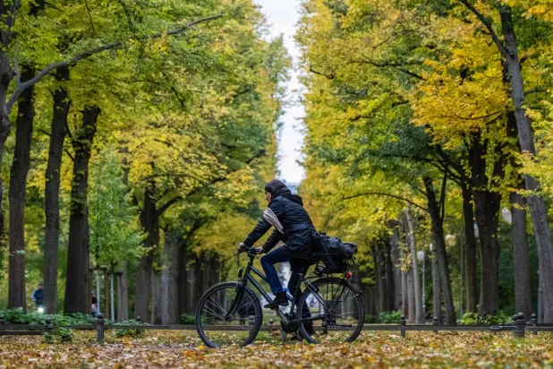 A woman cycles through the Tiergarten park in Berlin as trees sport their autumn foliage, on October 27, 2026. (Photo by John MACDOUGALL / AFP)