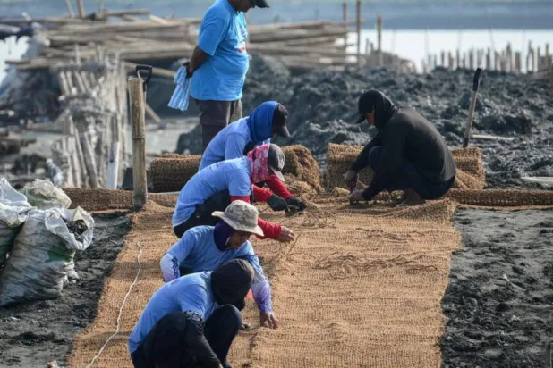 Workers lay coconut-fibre bags next to oyster shells on a breakwater at Pamarawan Island in Malolos City, in the Philippines Bulacan province. Ted ALJIBE / AFP
