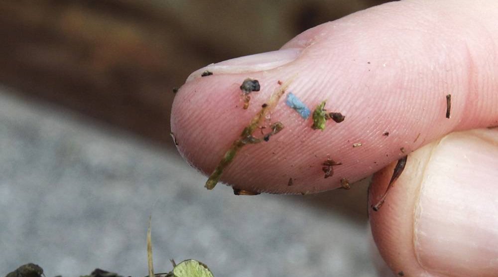 A blue rectangular piece of microplastic sits on the finger of a researcher with the University of Washington-Tacoma environmental science program, after it was found in debris collected from the Thea Foss Waterway, in Tacoma, Wash., on May 19, 2010. (AP)