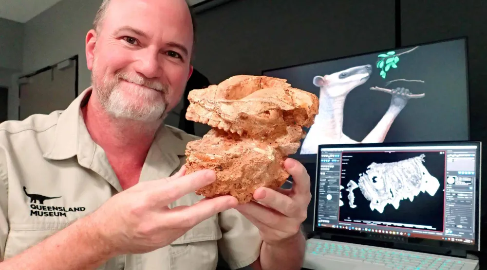 This handout photo taken on April 17, 2025, and released on April 23, 2025 by the University of Wollongong shows Scott Hocknull, a vertebrate palaeontologist and senior curator at the Queensland Museum, holding a Protemnodon skull fossil. (Photo by Handout / UNIVERSITY OF WOLLONGONG / AFP)