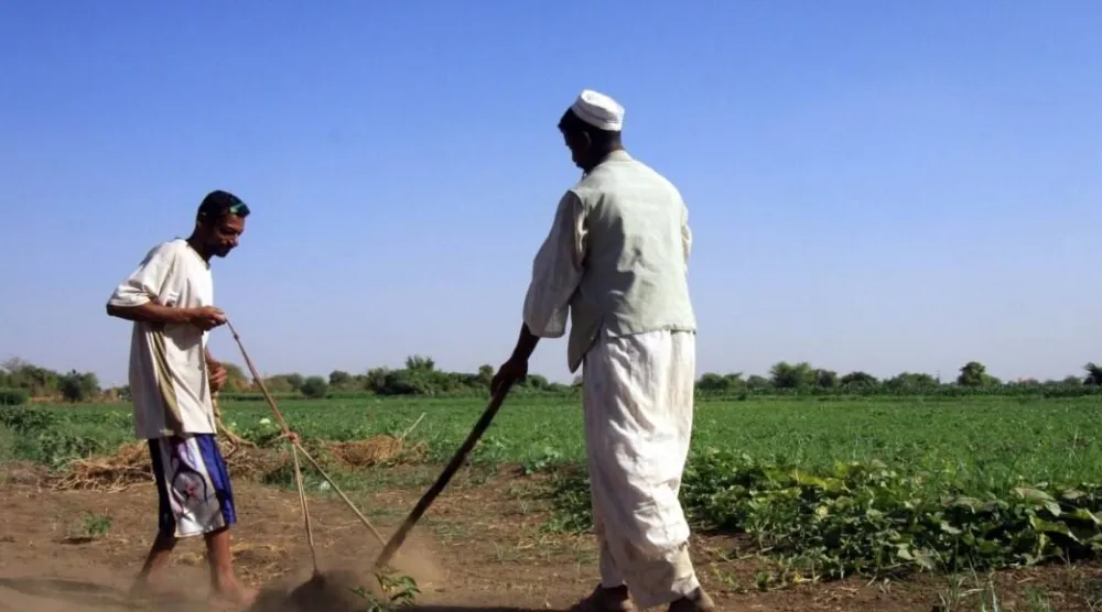 فلاحون سودانيون (رويترز - أرشيفية)