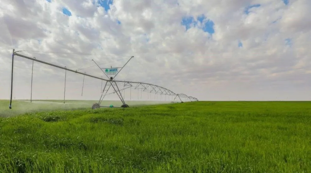 إحدى المزارع العراقية (وكالة الأنباء العراقية)