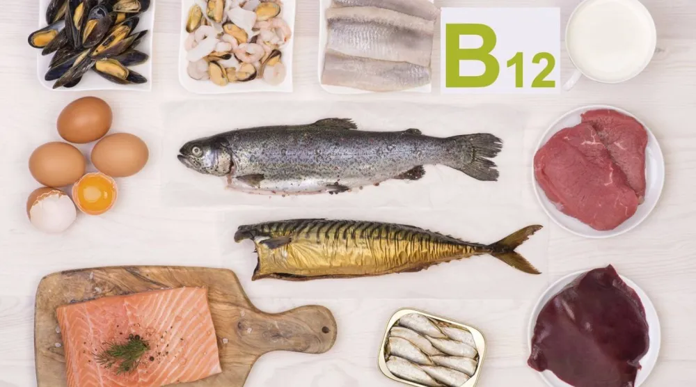 الأطعمة الغنية بفيتامين «B12» متوفرة وسهلة الدمج في أي نظام غذائي (جامعة هارفارد)