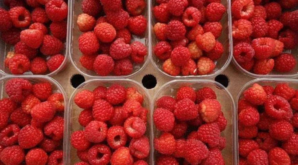 التوت ومشتقاته يحتوي على أقل سكر من العديد من الفواكه (أرشيفية - رويترز)