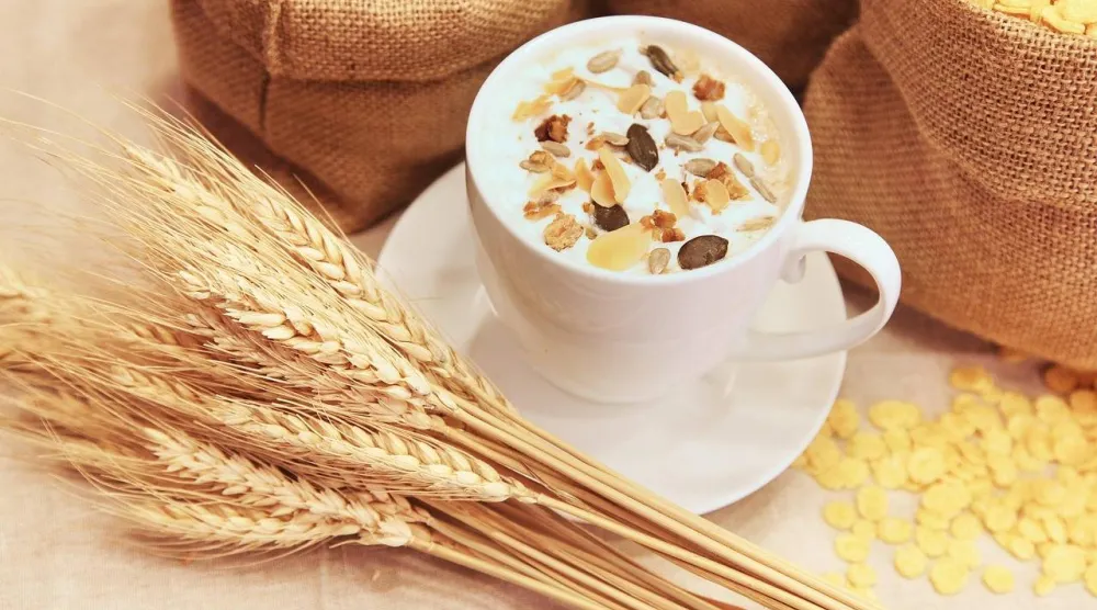 ما إيجابيات وسلبيات شرب حليب الشوفان يومياً؟