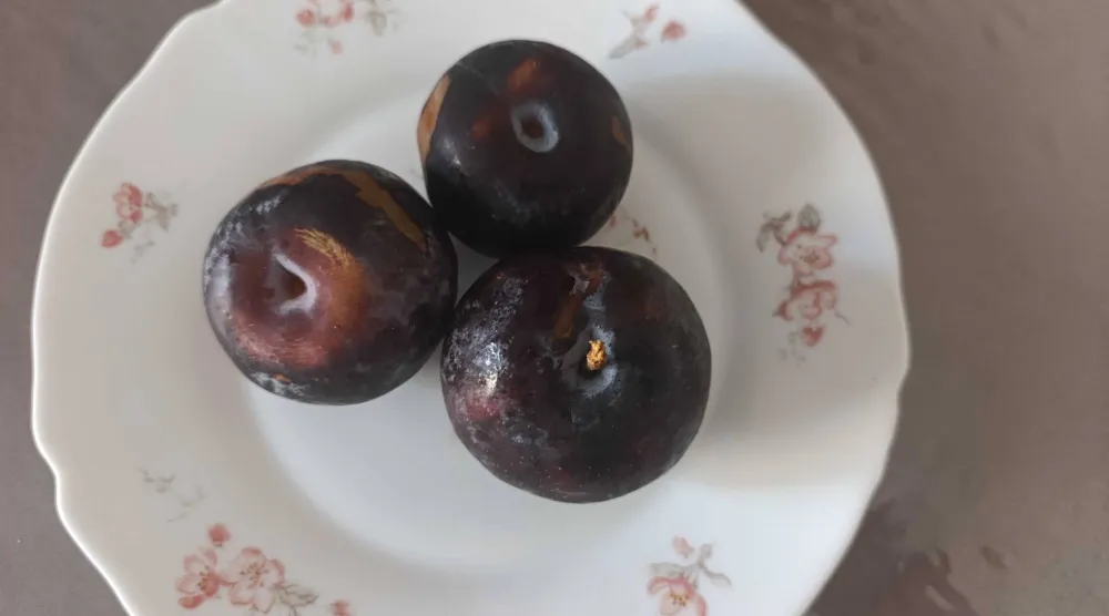 فاكهة خوخ في صحن على مائدة (الشرق الأوسط)