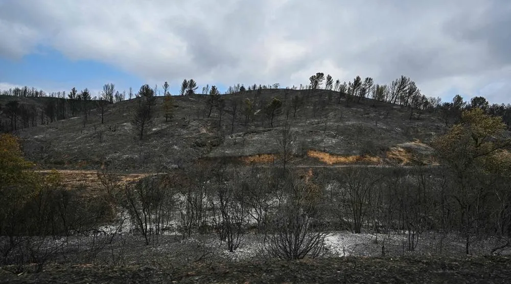 This photograph shows a forest area with trees burnt due to a wildfire, between Albas and Saint-Laurent-de-la-Cabrerisse southern France on August 8, 2025. (AFP)