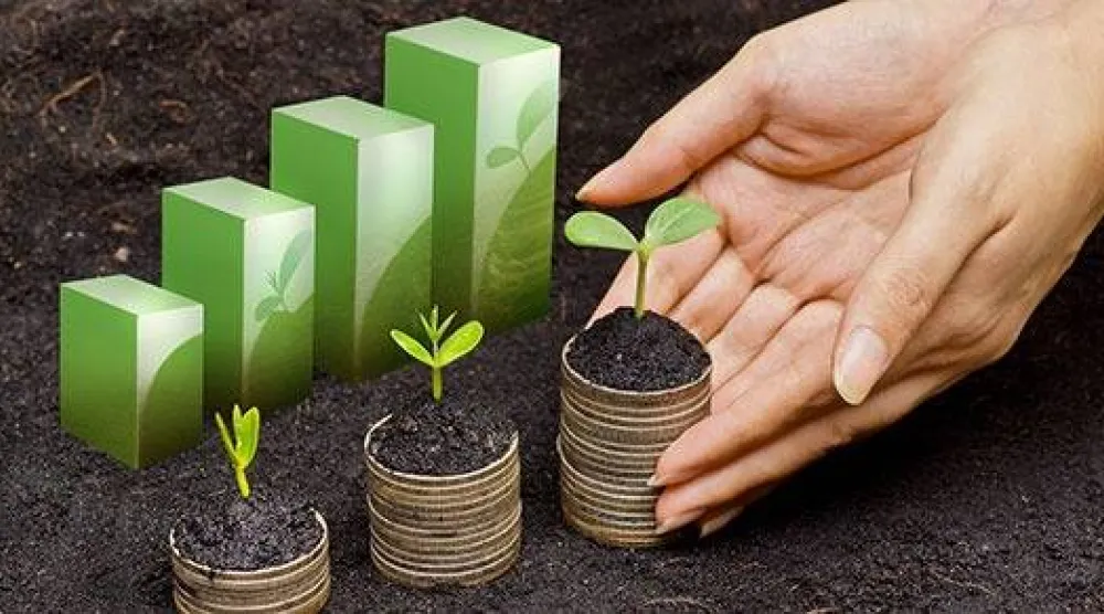نمو الاستثمار المستدام مع ازدهار المشاريع البيئية والاقتصادية (صندوق النقد الدولي)