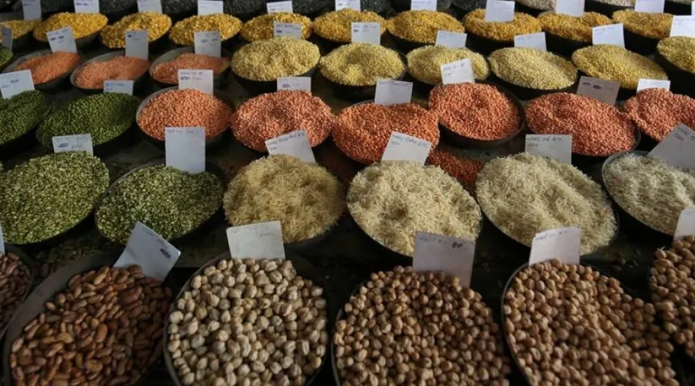 العدس غني بالنشا المقاوم والألياف الحيوية التي تُغذي ميكروبيوم الأمعاء (أرشيفية - رويترز)