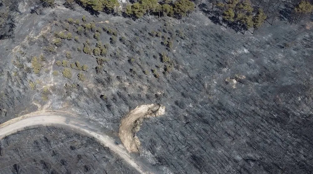 A drone view shows the aftermath of a wildfire near Erenkoy, Canakkale, Türkiye, August 12, 2025. (Reuters) 