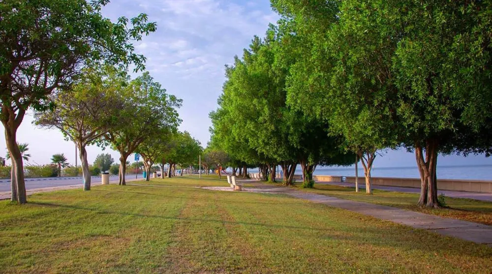 منطقة تم تشجيرها من قبل أمانة الشرقية في حاضرة الدمام (واس)
