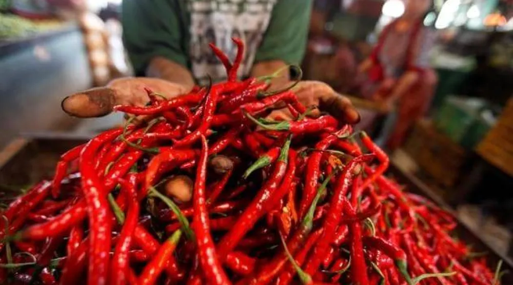 تاجر الفلفل الحار يعرضه للبيع في سوق بجاكرتا (أرشيفية - رويترز)