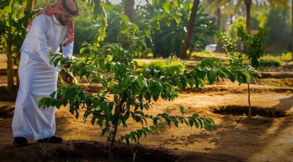 مواطن يشارك في «مبادرة السعودية الخضراء» (واس)
