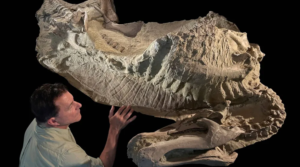 عالم حفريات يفحص مومياء متحجرة لديناصور في مختبر بشيكاغو الأميركية (رويترز)