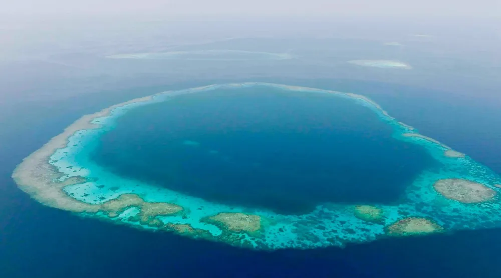 ارتفاع نسبة المناطق البحرية المحمية في السعودية (الحياة الفطرية)