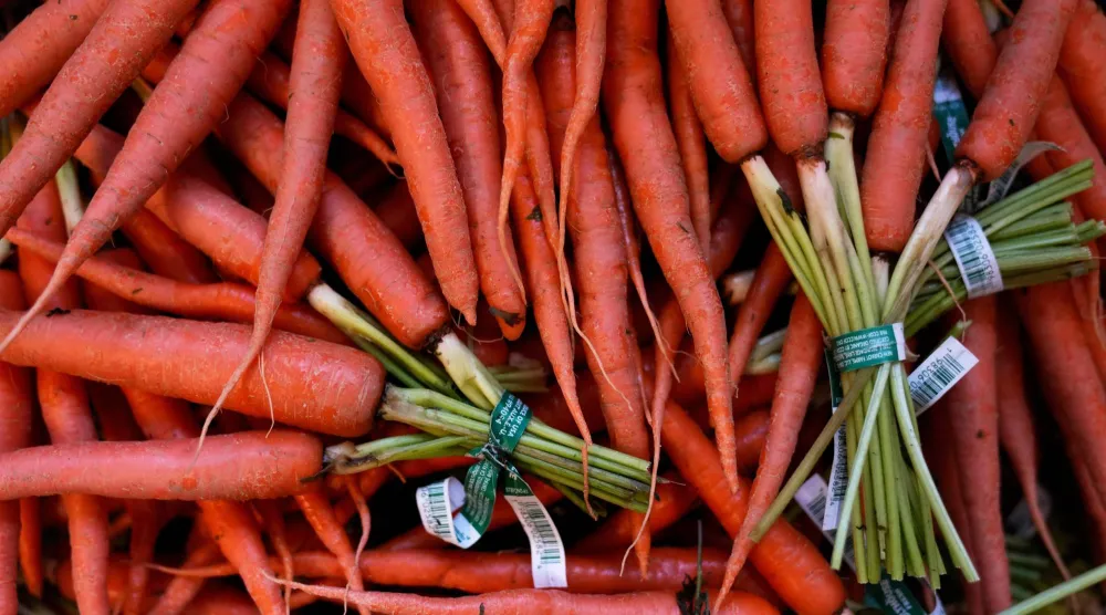 الجزر غني بمضادات الأكسدة بما في ذلك بيتا كاروتين (أ.ب)