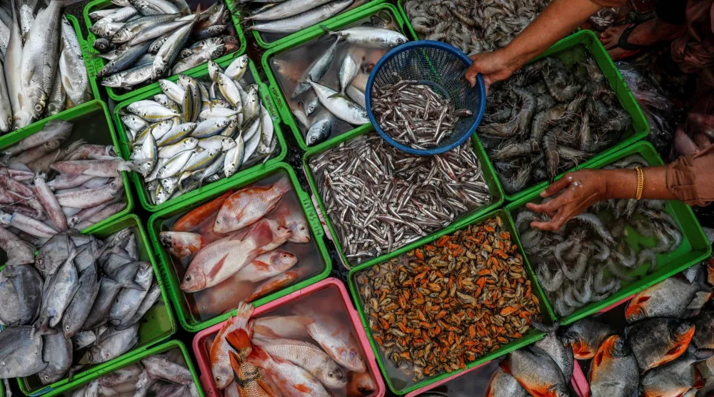 الأسماك غنية بالفيتامينات والمعادن (رويترز)