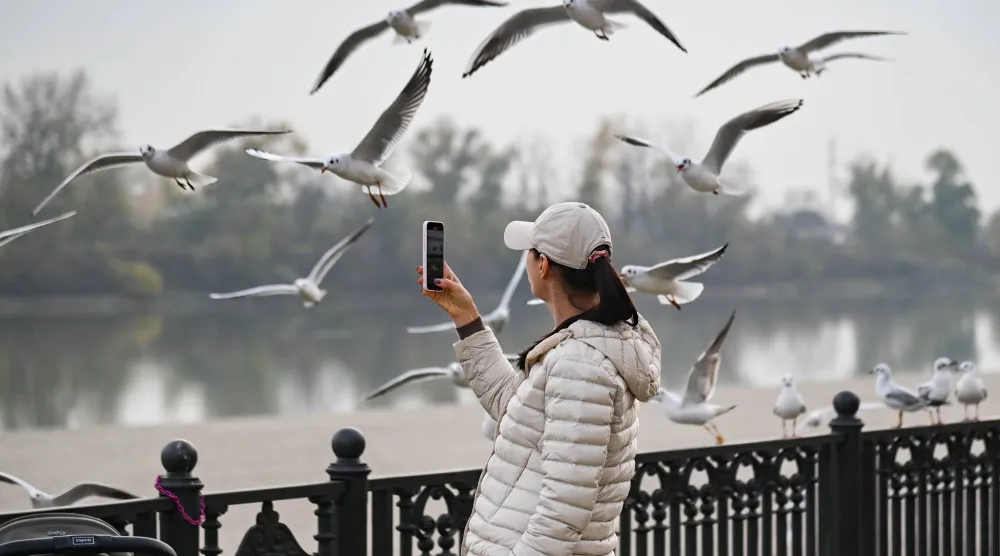 تهرب الطيور من نبرة الإنسان قبل خطوته (د.ب.أ)