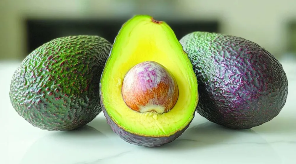 الأفوكادو... ثمار صديقة للقلب