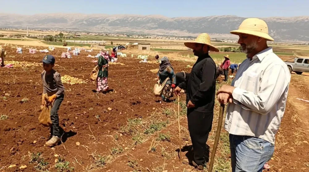 مزارعون بسهل البقاع في شرق لبنان (أرشيفية - الوكالة الوطنية)