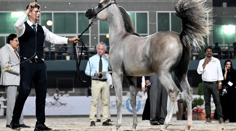 The Kingdom will be hosting the championship for three days - SPA