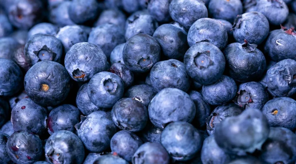 التوت الأزرق يحصل على لونه من الأنثوسيانين (بكسلز)