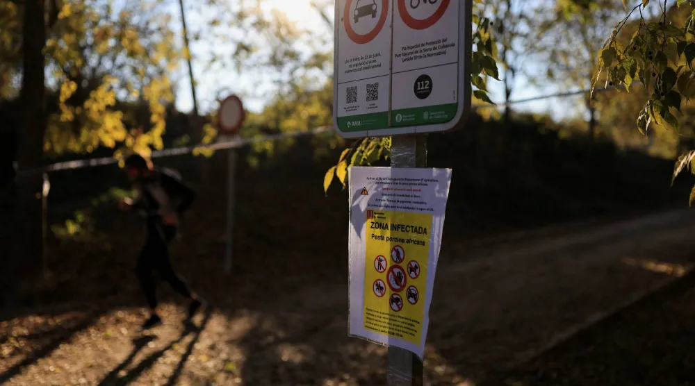 لافتة تُظهر منطقة موبوءة بفيروس حمى الخنازير الأفريقية وهي مغلقة أمام المشي لمسافات طويلة في منتزه كولسيرولا في سيردانيولا ديل فاليس على مشارف برشلونة (رويترز)