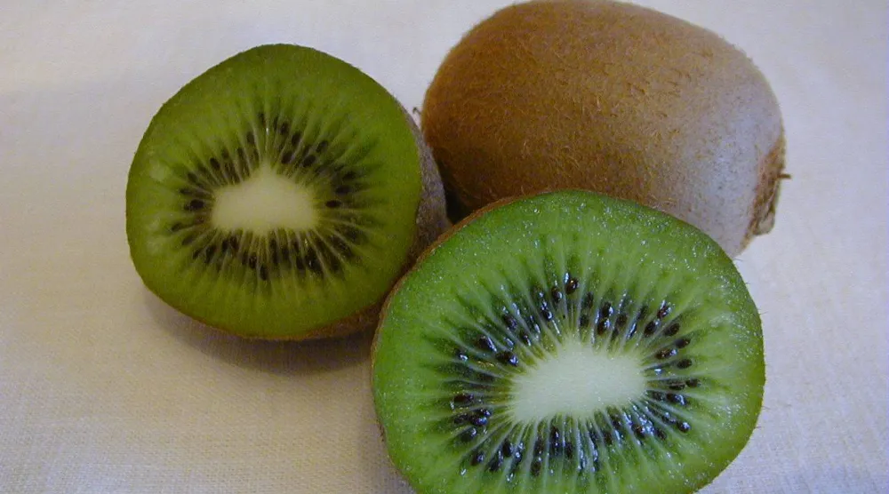 الكيوي من الفواكه الغنية بفيتامين «سي» المفيد لنضارة البشرة (جامعة ويسكونسن)