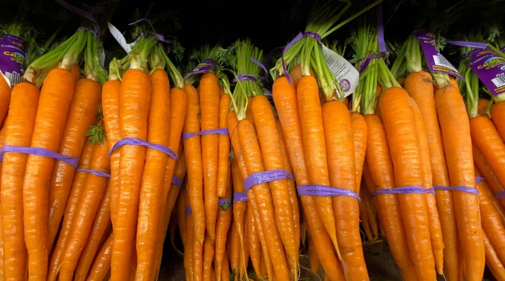 إدراج الجزر في نظام غذائي متوازن يُحسّن جودة النوم بشكل غير مباشر (رويترز)