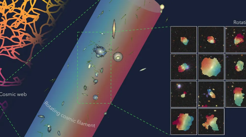 A figure depicting the rotation of neutral hydrogen in galaxies residing in an extended filament, where the galaxies exhibit a coherent bulk rotational motion tracing the large-scale cosmic web, is seen in this undated illustration obtained by Reuters on December 4, 2025. (Lyla Jung/Handout via Reuters) 