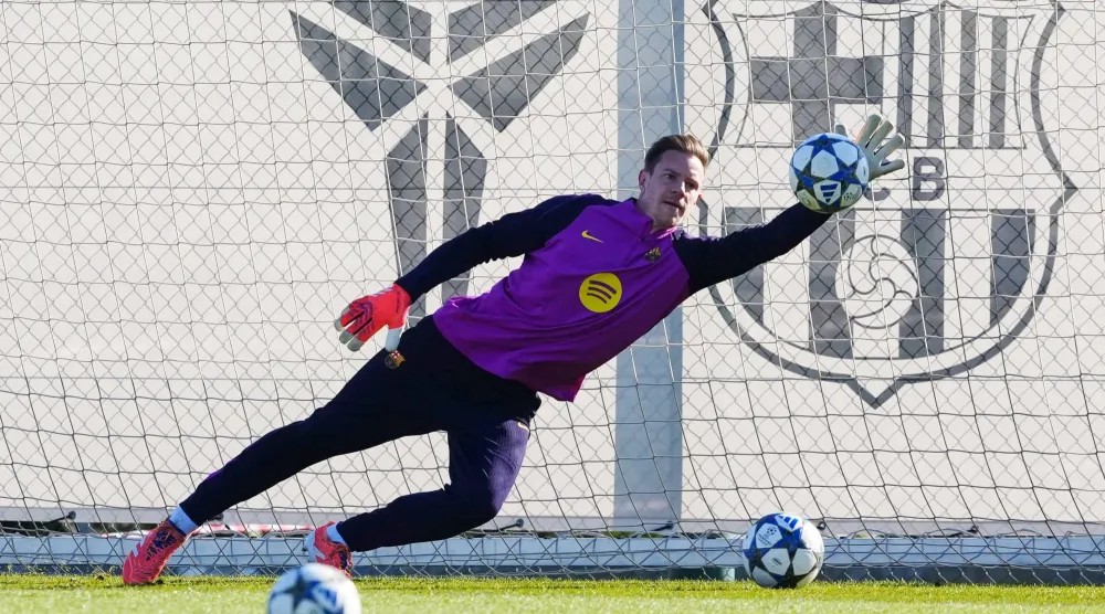 تير شتيغن (إ.ب.أ)