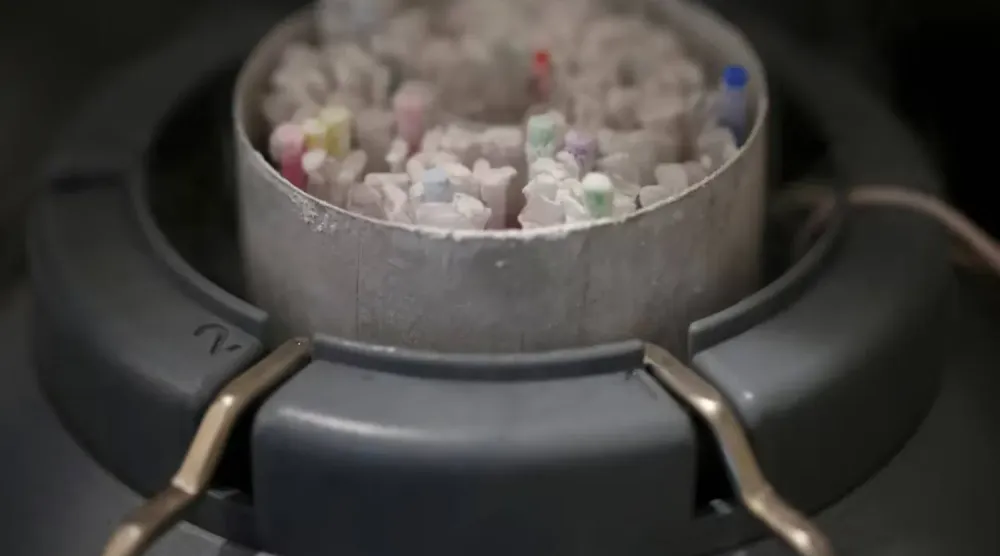 Laboratuvarda dondurulmuş sperm örnekleri, azot çözeltisi içeren soğutmalı bir kapta saklanıyor (Arşiv- Reuters)